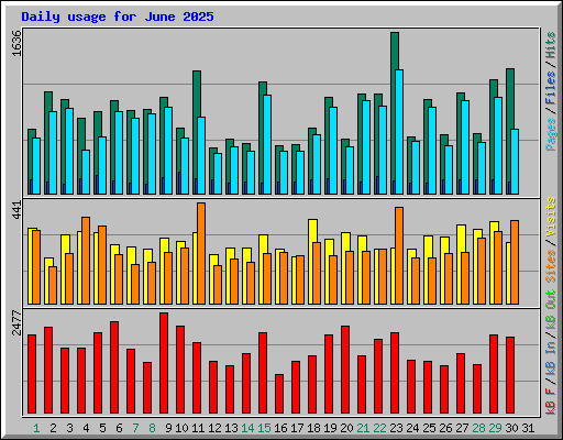 Daily usage for June 2025