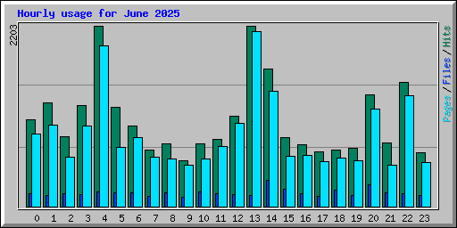 Hourly usage for June 2025