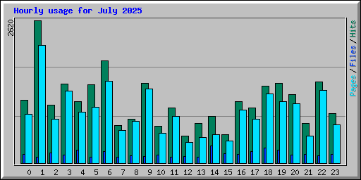 Hourly usage for July 2025