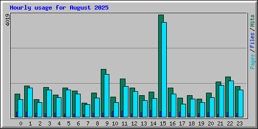 Hourly usage for August 2025
